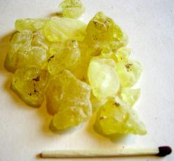resine-mastic-chiou (wikimedia)