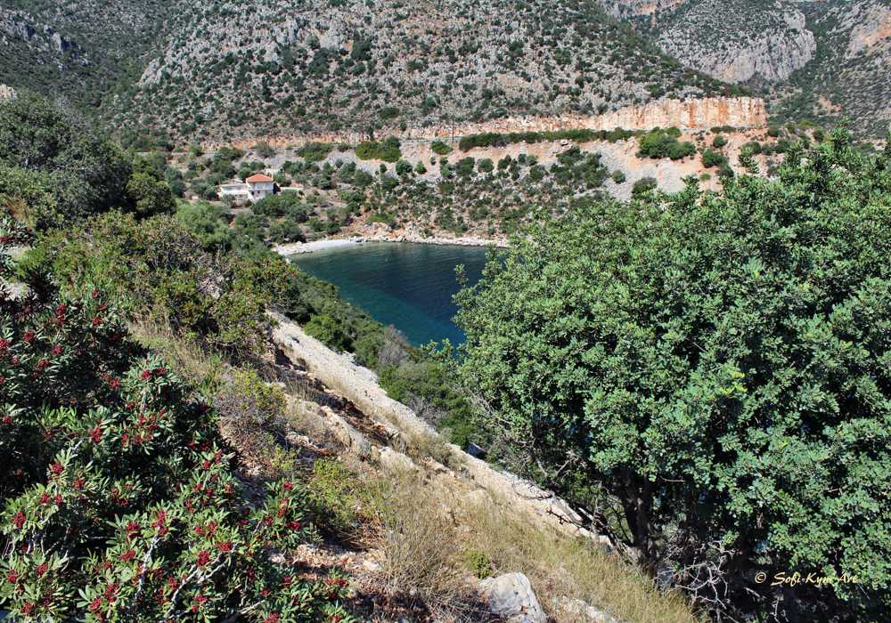 Baie sauvage de la région d'Arcadie Péloponnèse Grèce