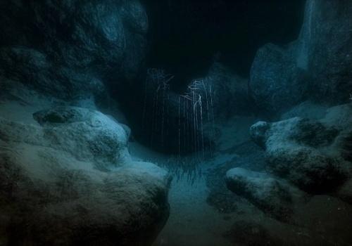 Abysse - Au fin fond des profondeurs