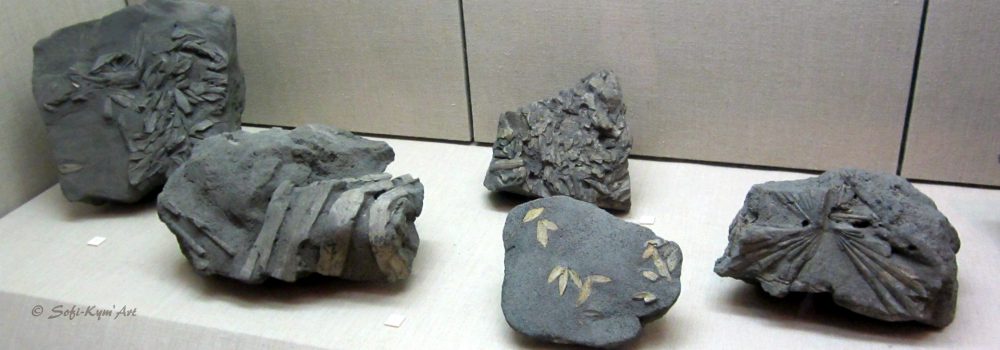 Musée archéologique de Fira à Santorin - img 6138